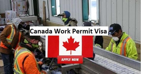 Canada Work Permit Visa From Bangladesh 2026 - Canada Job Visa Apply for Bangladesh